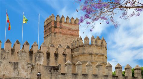 Jardín Botánico Histórico de El Puerto de Santa María: Kwitnąca historia i oaza spokoju w sercu Andaluzji!