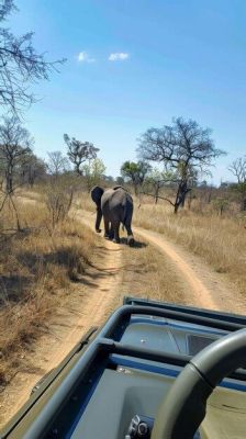  Spędź Niezapomniane Chwile w Parku Narodowym Kruger!